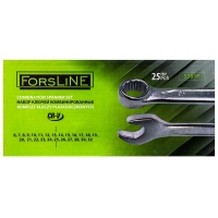 Набо ключей комбинированных 25 пр. ForsLine FL-5261P