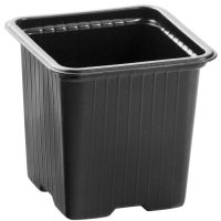 Горшочек для рассады, 70 х 70 х 65 мм, полистирол, 20 шт, Россия чек для рассады, 70 х 70 х 65 мм, п RUSSIA 64350