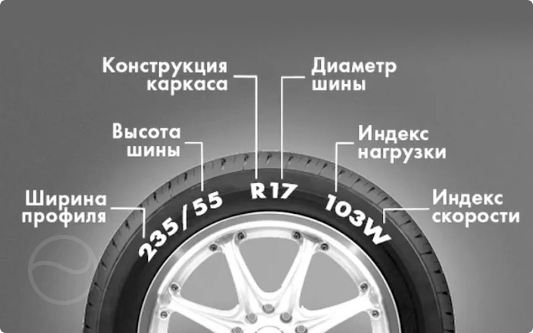 Все данные по шине